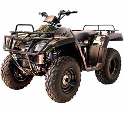 300cc - 4 Wheel Drive Huge ATV